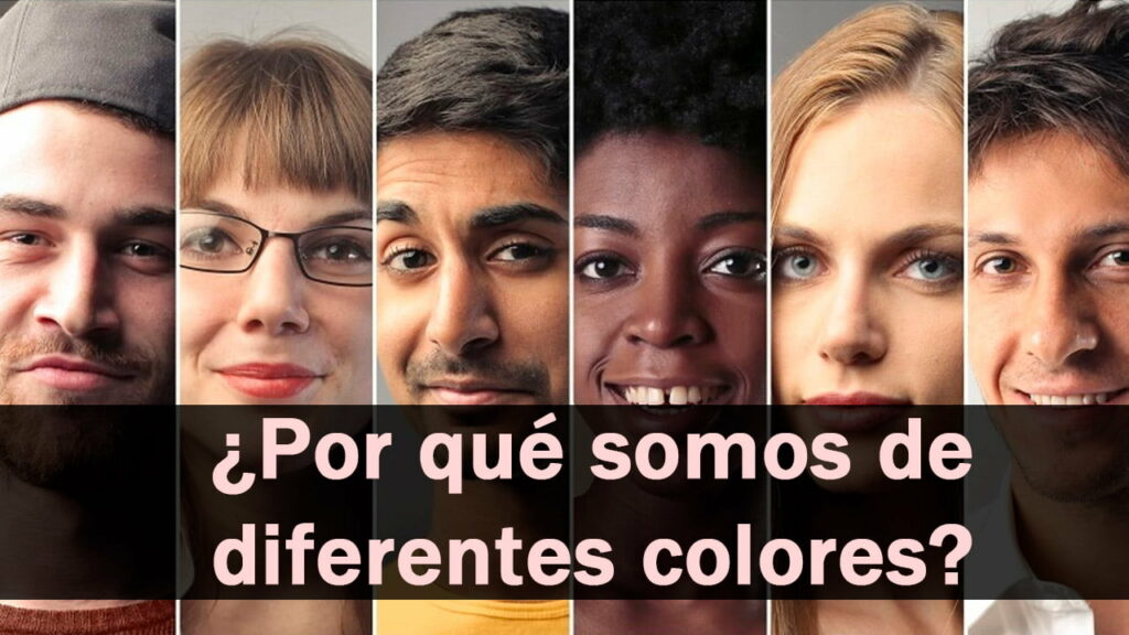 ¿A qué se debe que tenemos diferentes colores de piel? 9 A qué se debe que tenemos diferentes colores de piel