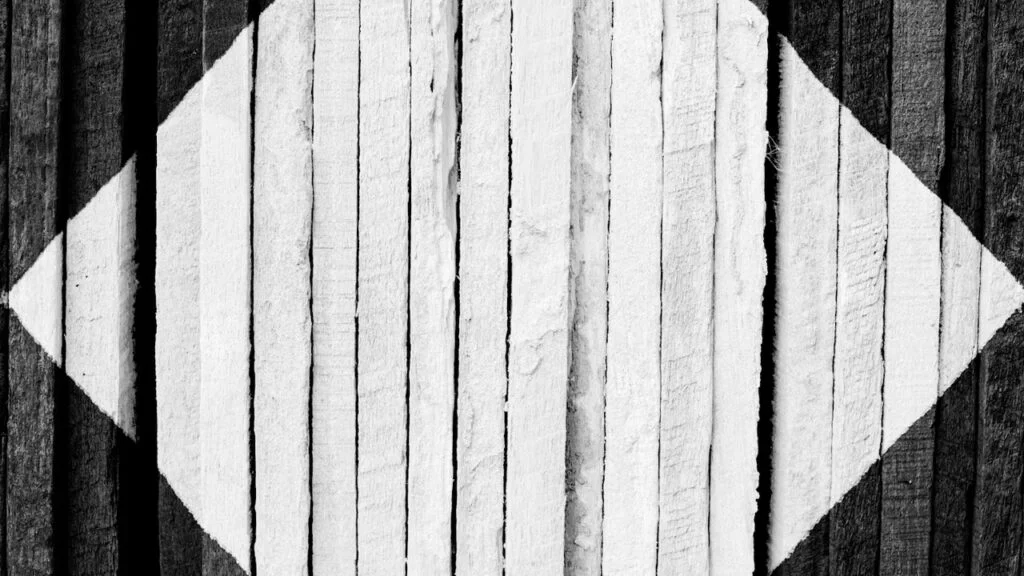 ¿El blanco y negro son colores? La ausencia de color y el color de la nada 4 ¿El blanco y negro son colores?