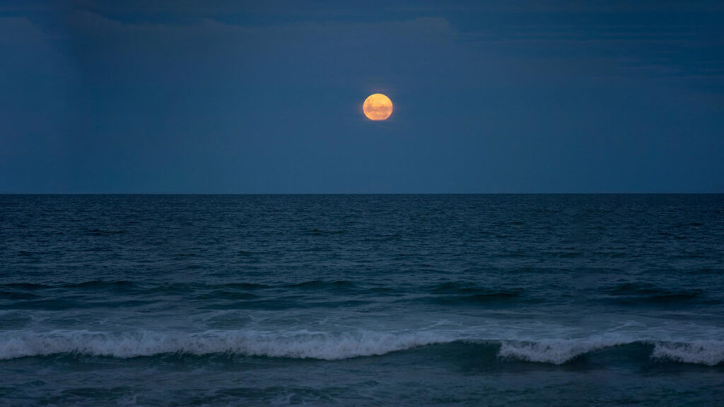 Mareas vivas muertas tierra producen marea pleamar baja sol diagrama lunar encuentran ángulo recto geografía