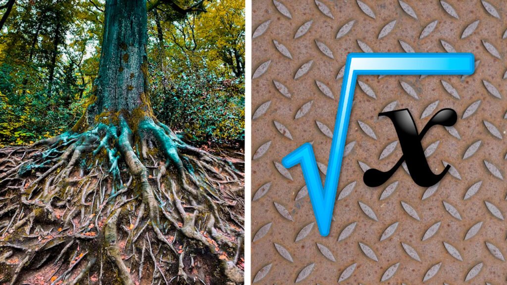 ¿Qué es la raíz y para qué sirve? Dependiendo el contexto en el que se la use 7 raiz