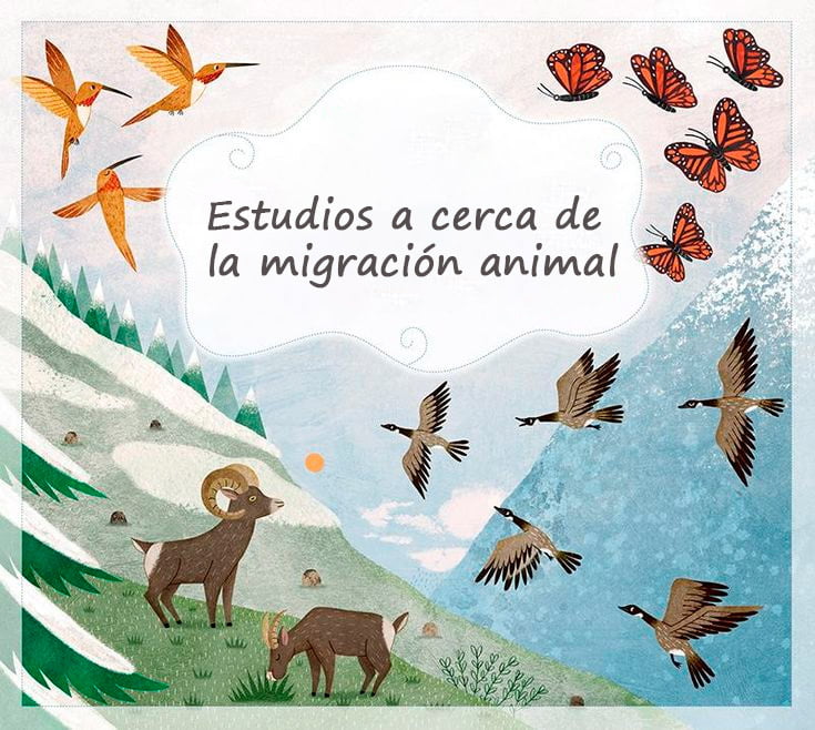 estudios de la migracion animal
