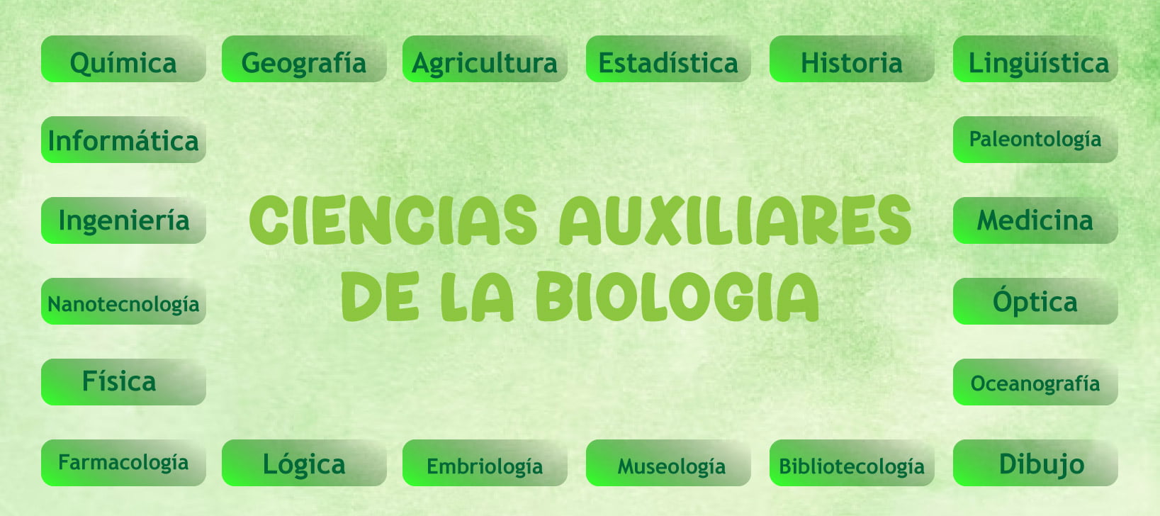 Las Ciencias Auxiliares De La Biolog A Principales Y Secundarias