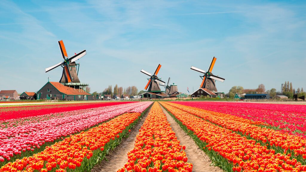 ¿Porque se le dice Holanda a Países Bajos? Misterio resuelto 13 ¿Porque se le dice Holanda a Países Bajos?